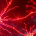Understanding Nerve Inflammation: Causes, Symptoms, and Effective Treatments
