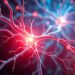 Effective Strategies for Nerve Healing and Regeneration