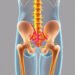 Exploring Sciatic Nerve Anatomy: Key Insights for Pain Relief and Health