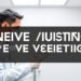 Nerve Conduction Study Explained: What to Expect and Benefits