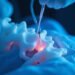 Interventional pain treatments: Breakthrough minimally invasive options for relief